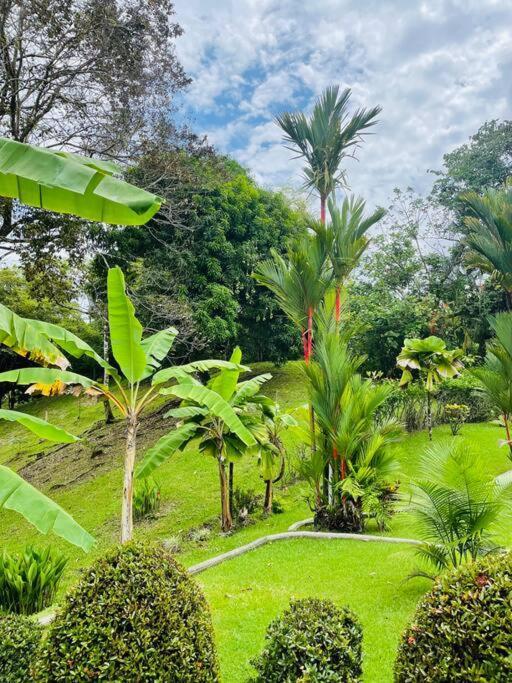Suenos De Amor! Hermoso Y Acogedor Lugar Quepos Kültér fotó