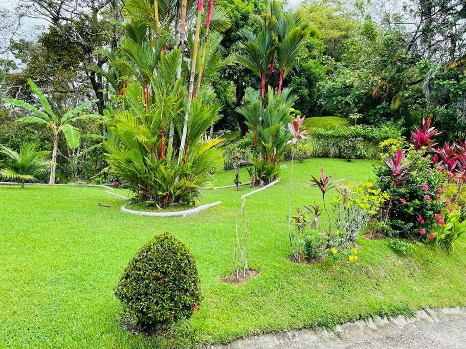 Suenos De Amor! Hermoso Y Acogedor Lugar Quepos Kültér fotó